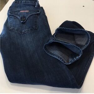 Hudson skinny low rise jeans size 24